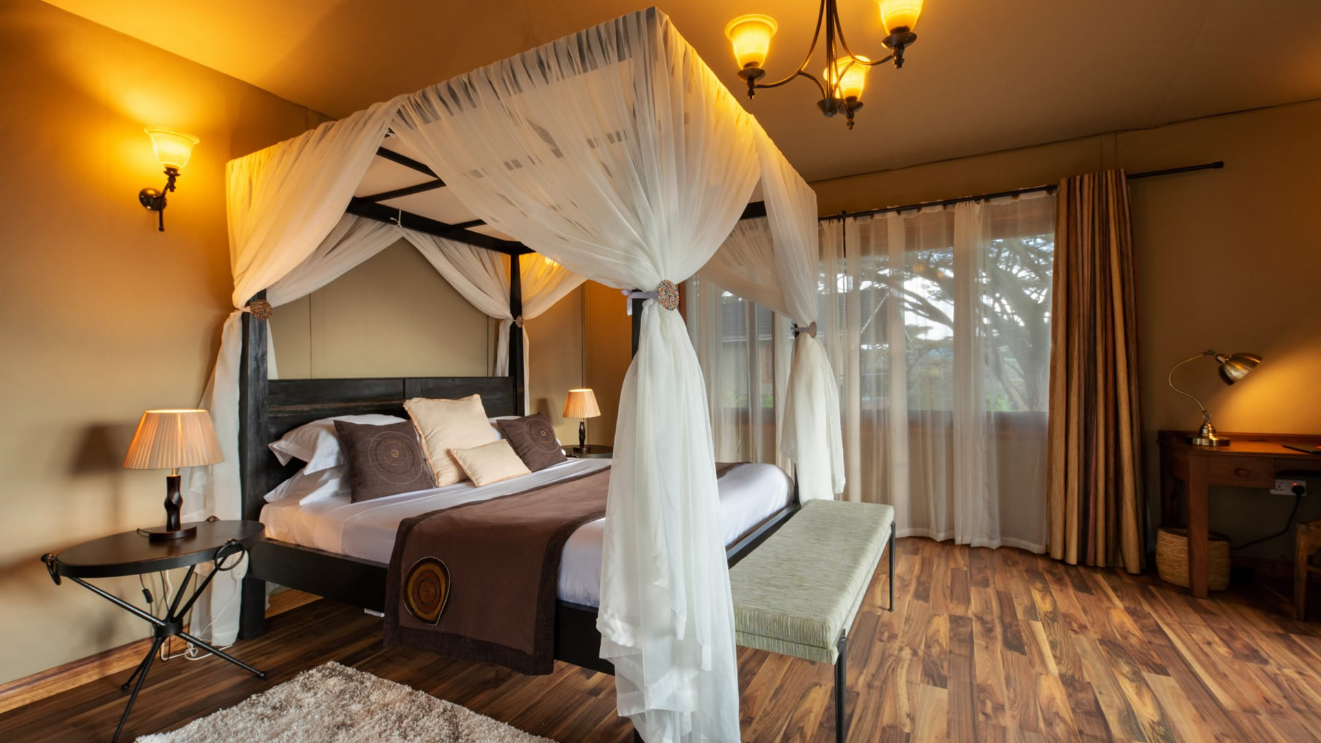 Ngorongoro Lion's Paw