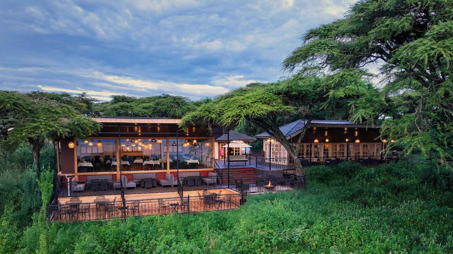 Ngorongoro Lion's Paw
