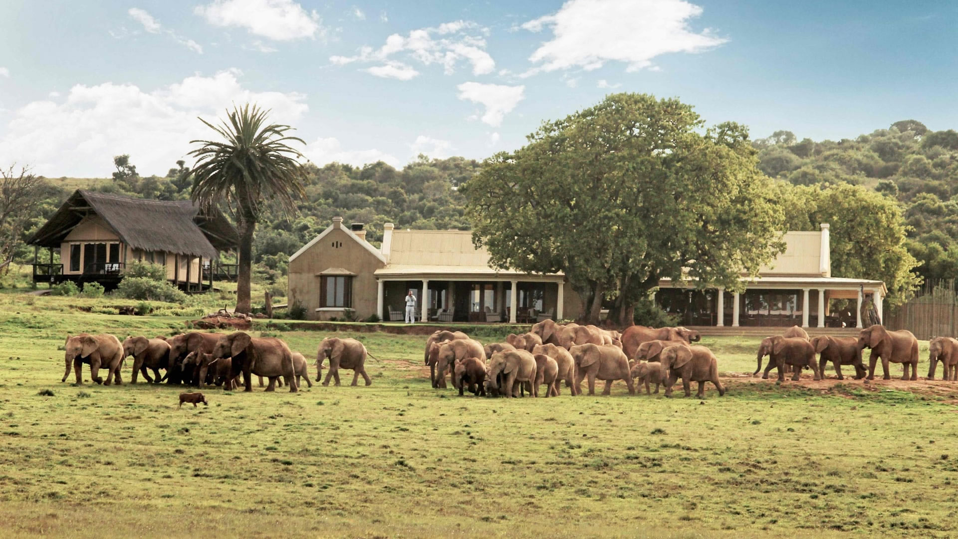 Addo Elephant National Park