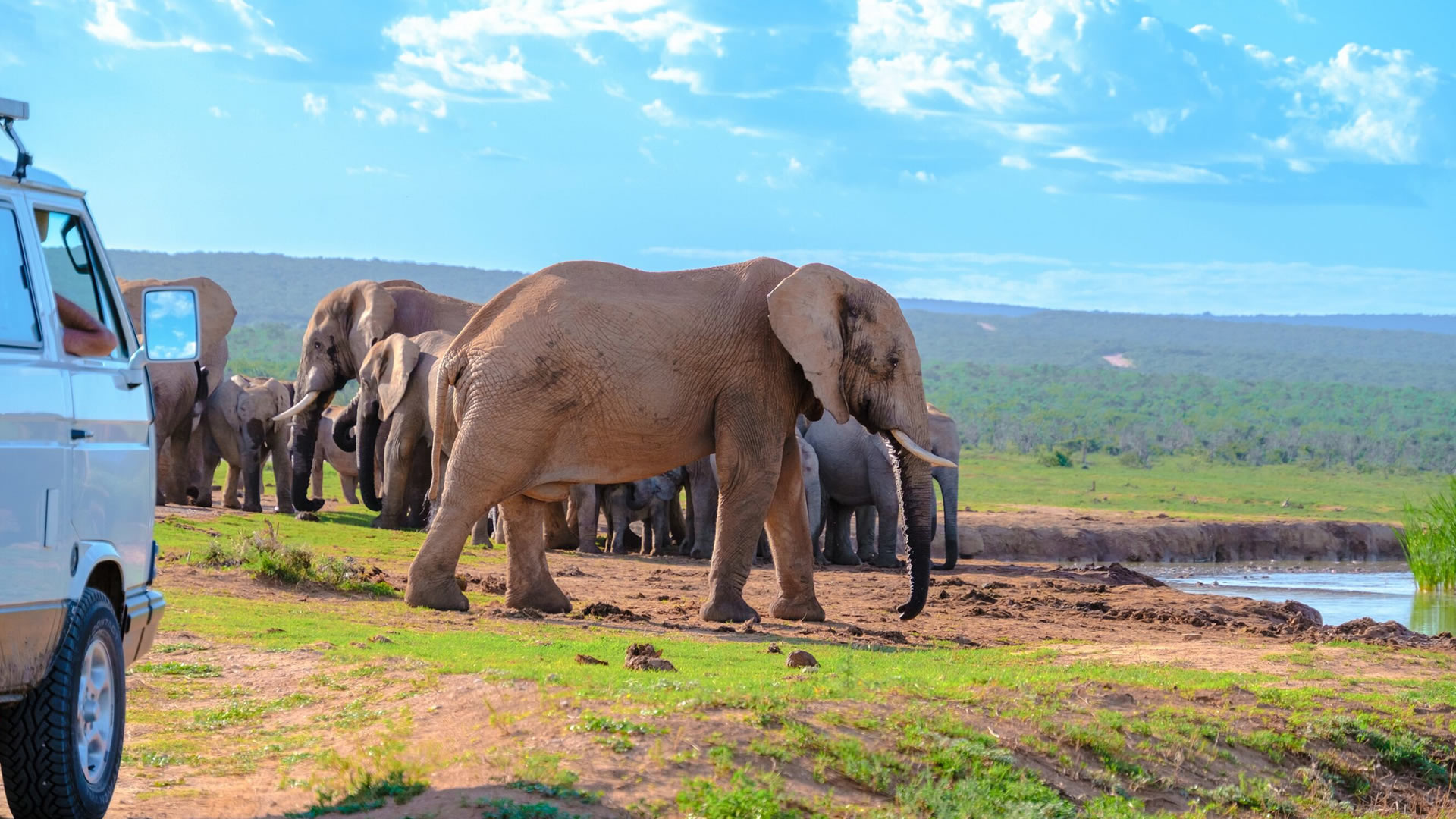 Addo Elephant National Park