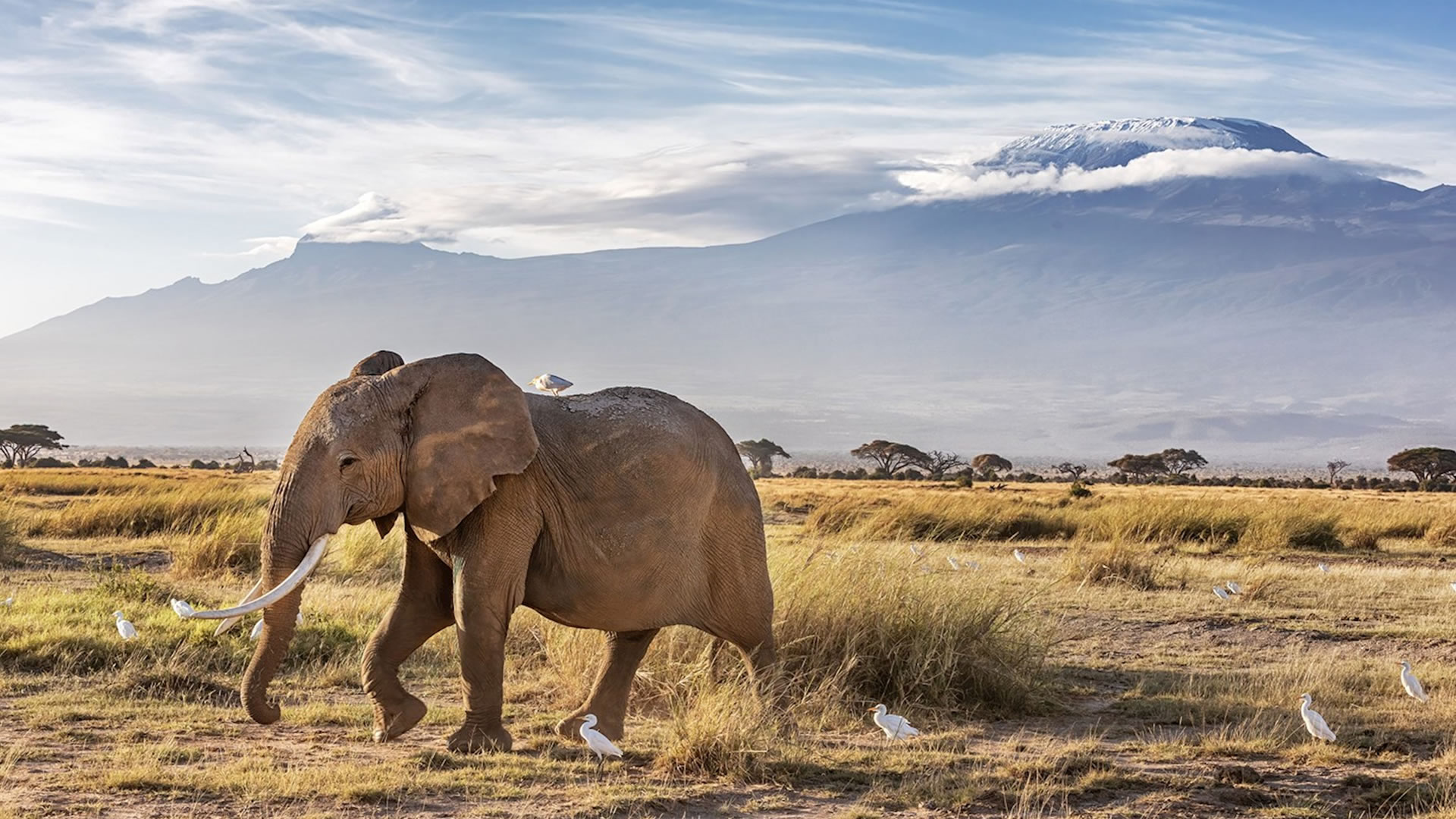 Amboseli National Park