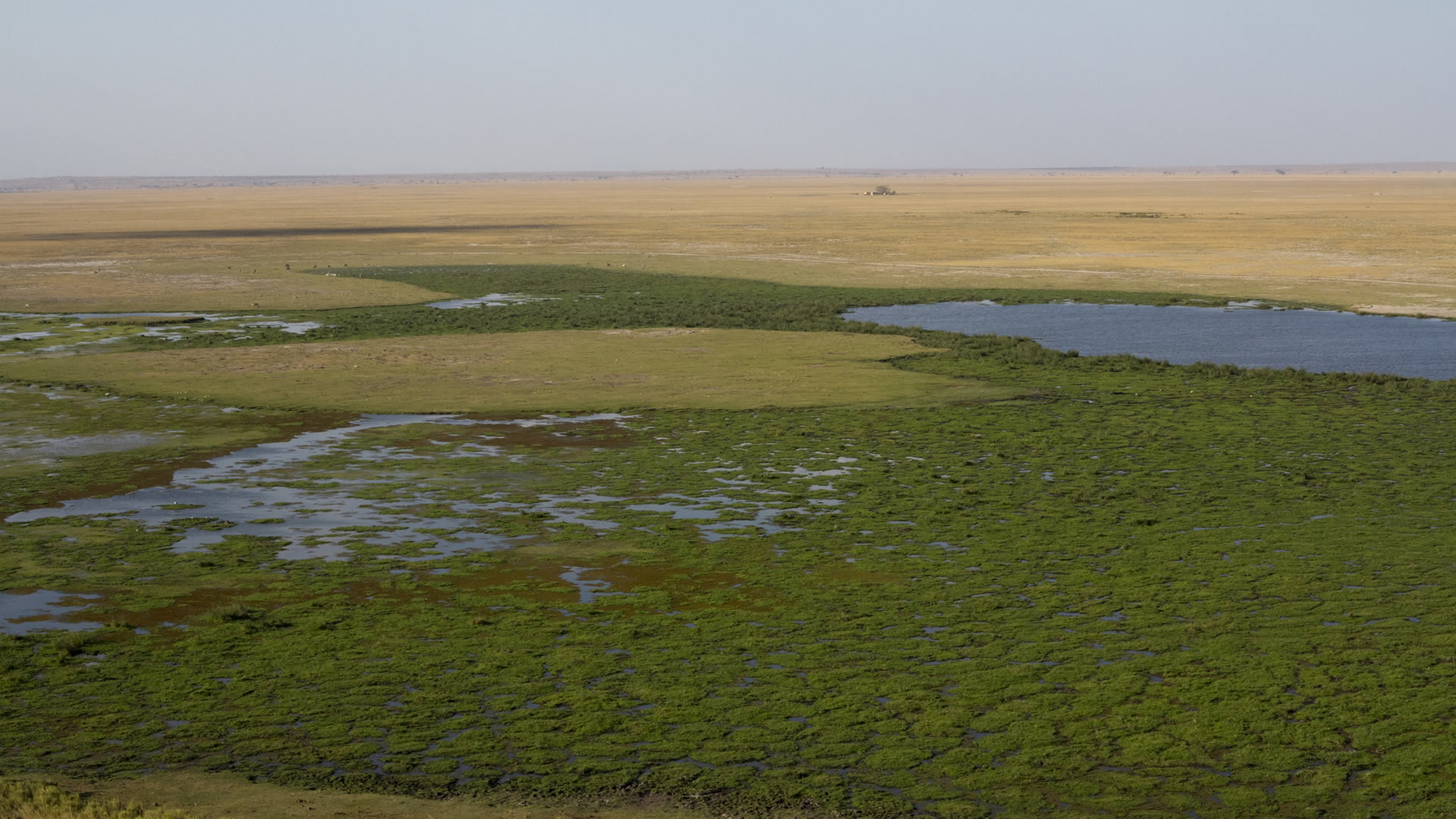 Amboseli National Park