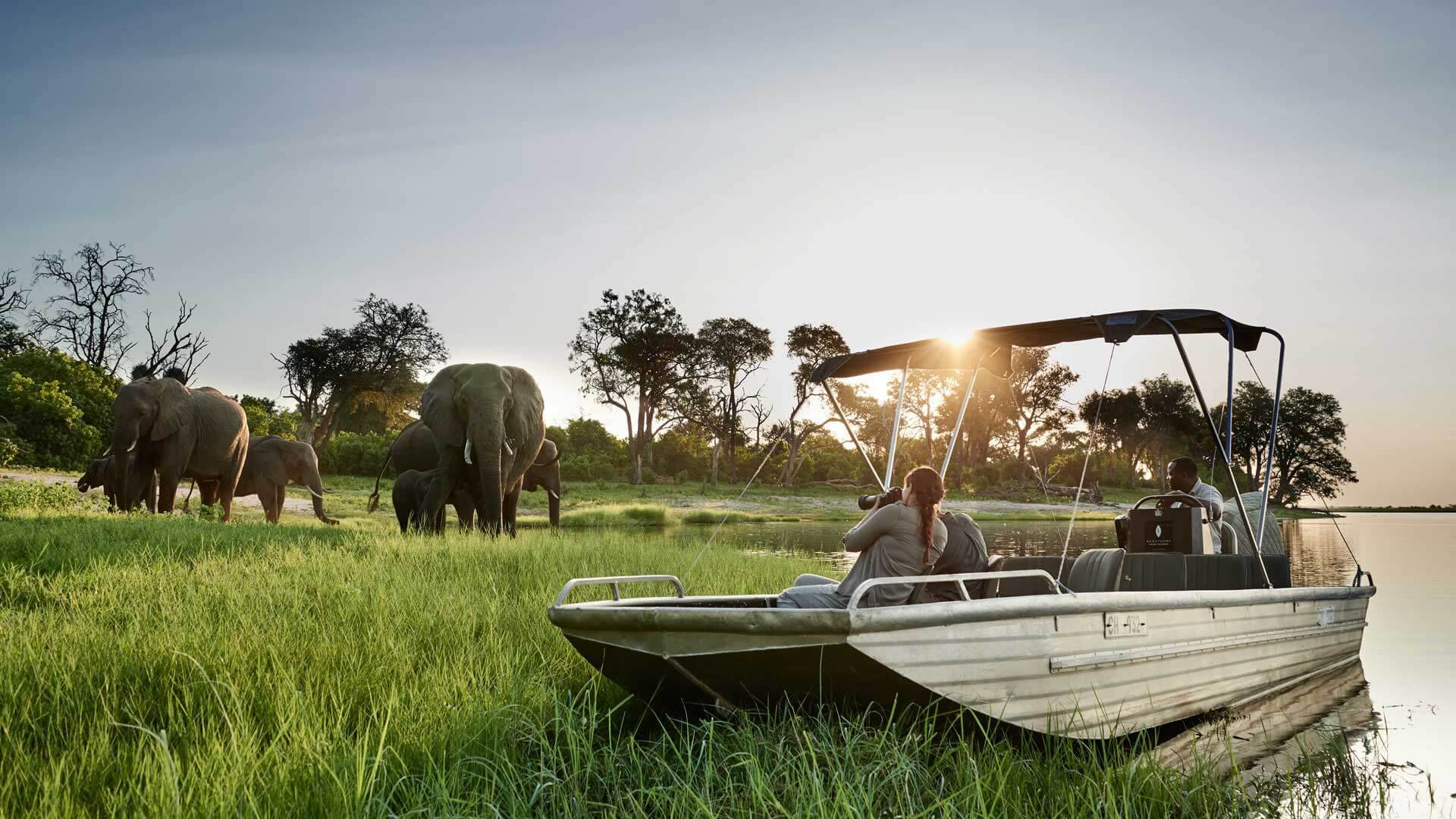 Chobe National Park