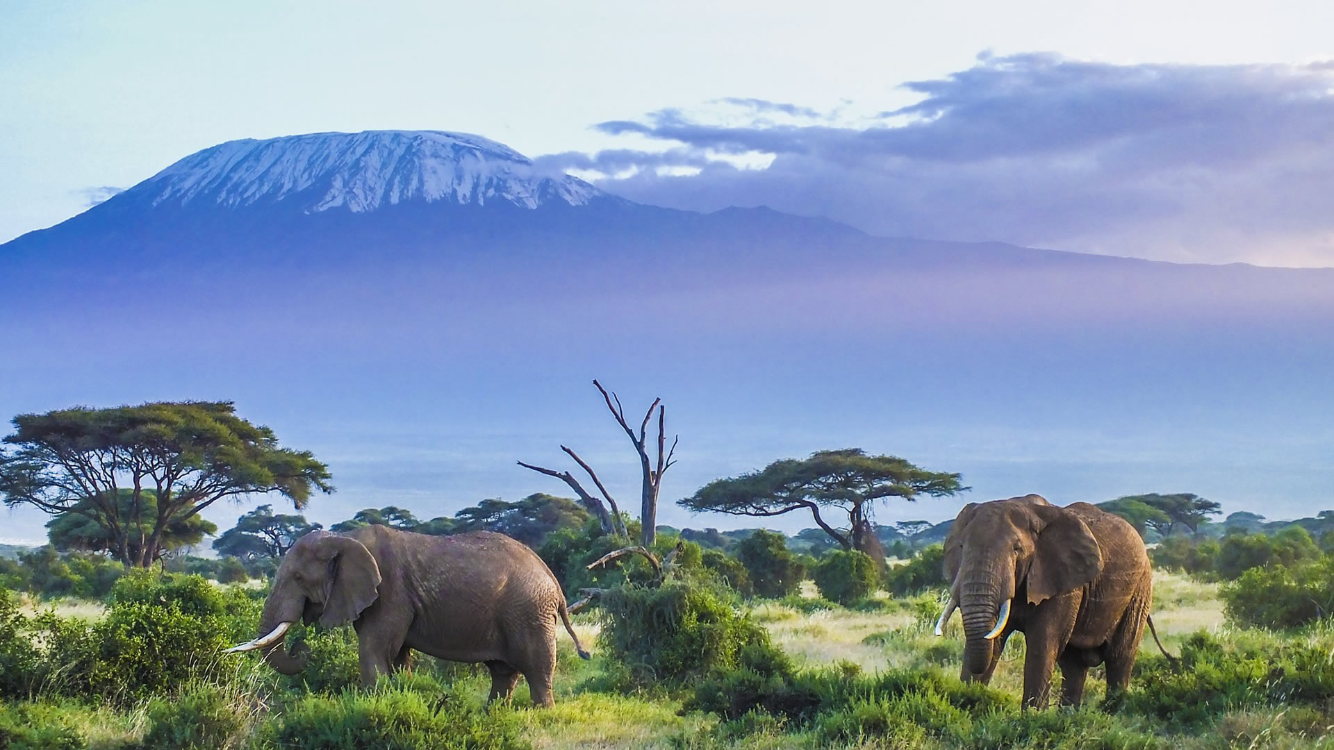 Chyulu Hills National Park