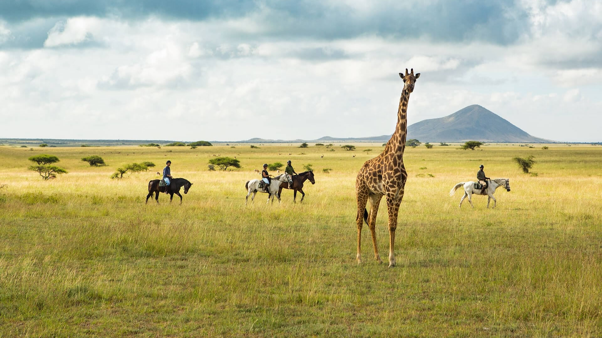 Chyulu Hills National Park