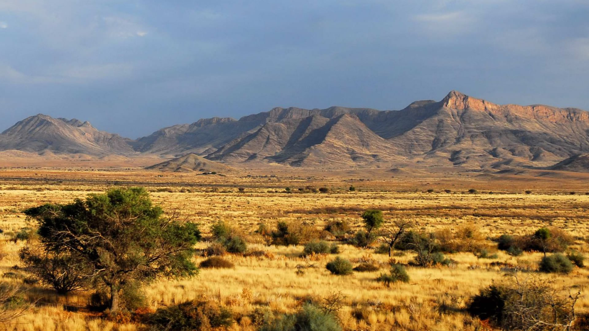 Damaraland