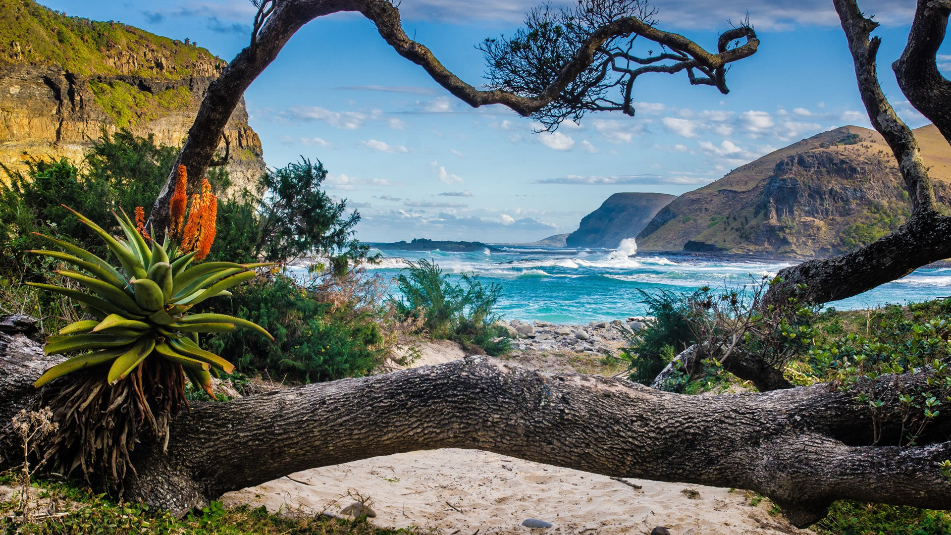 Eastern Cape