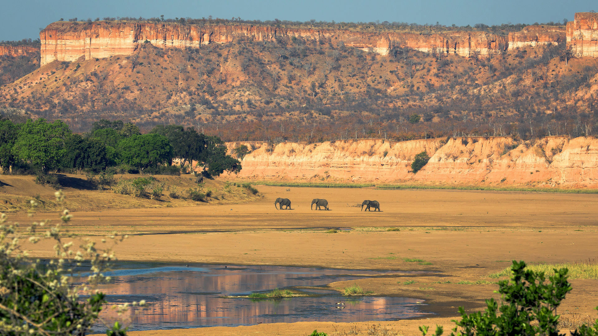 Gonarezhou National Park
