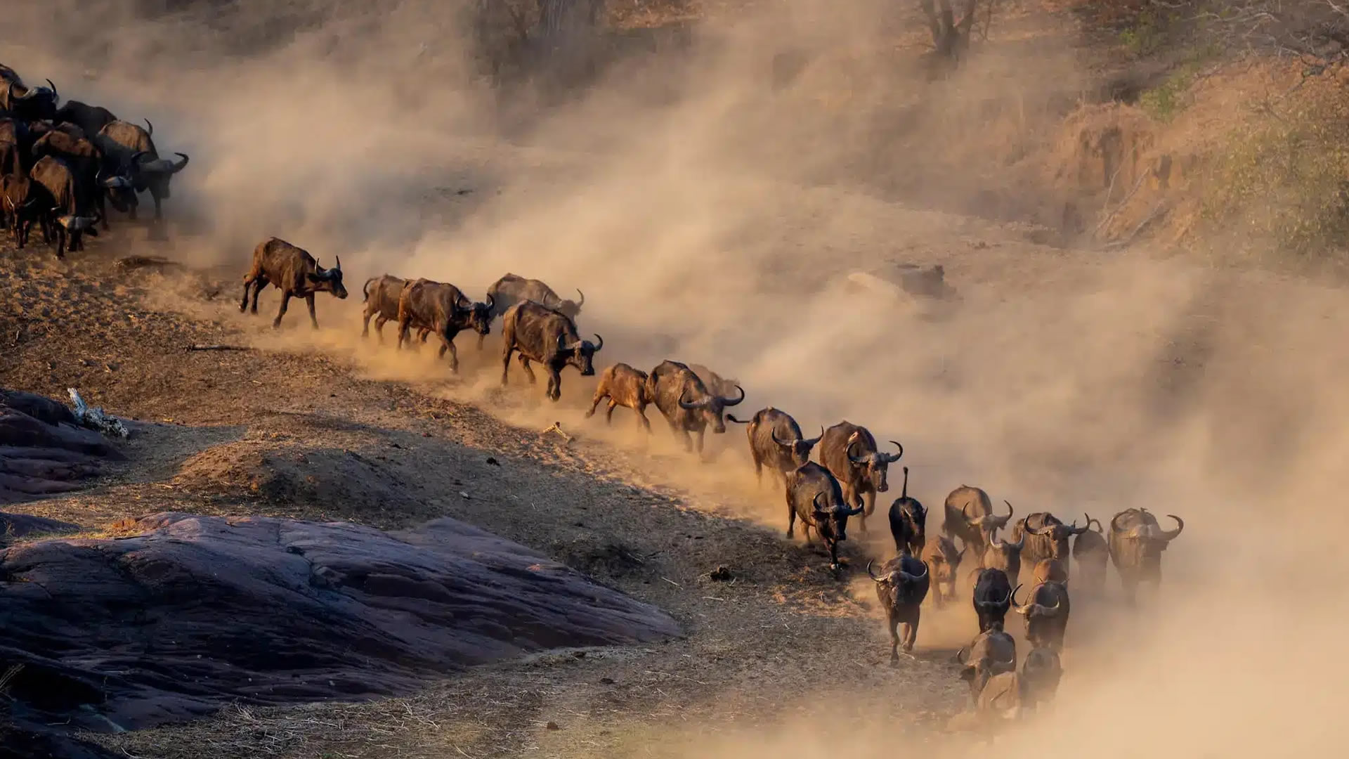 Gonarezhou National Park