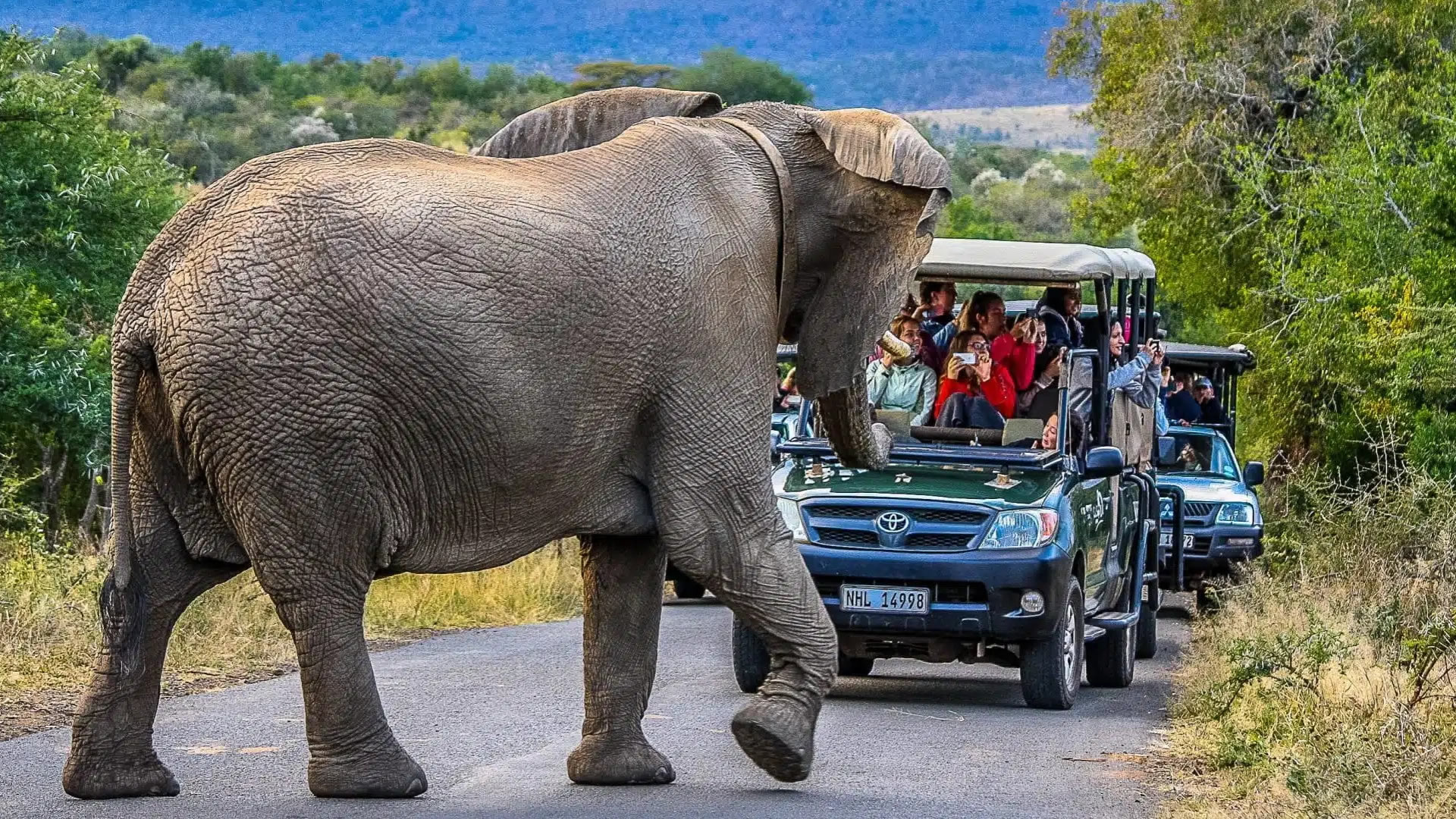 Hluhluwe Imfolozi Park