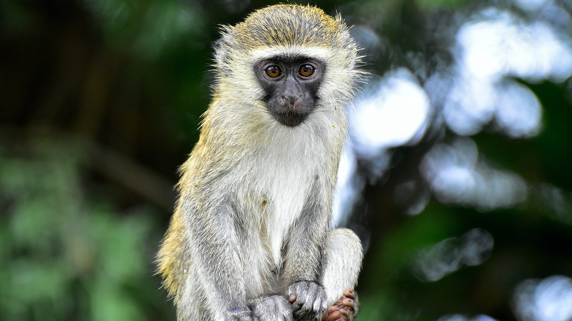 Kibale National Park