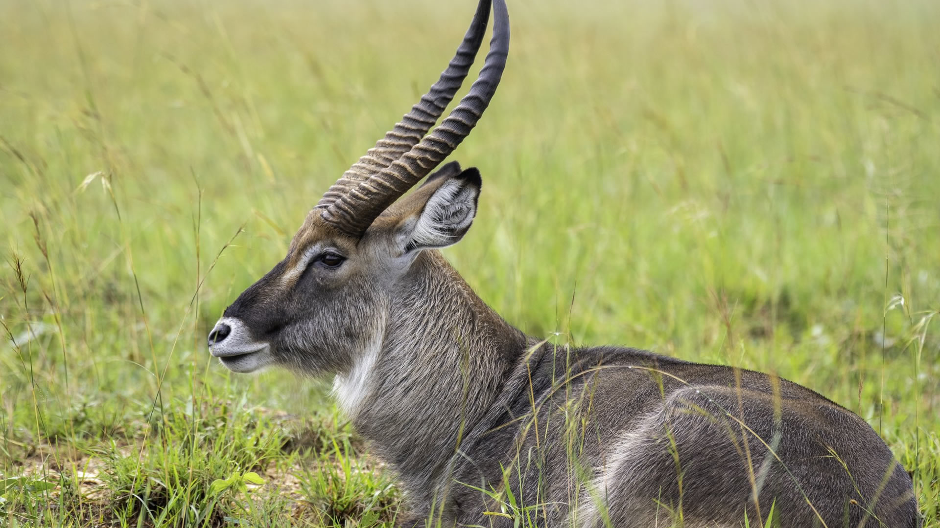 Kidepo Valley National Park