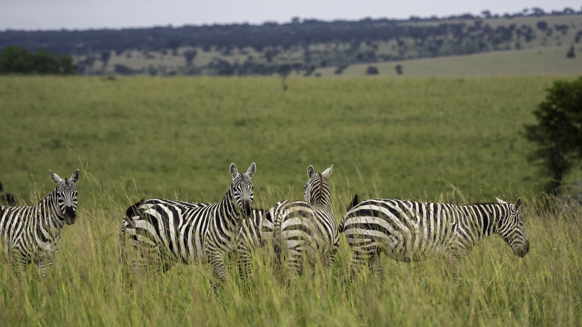 Kidepo Valley National Park