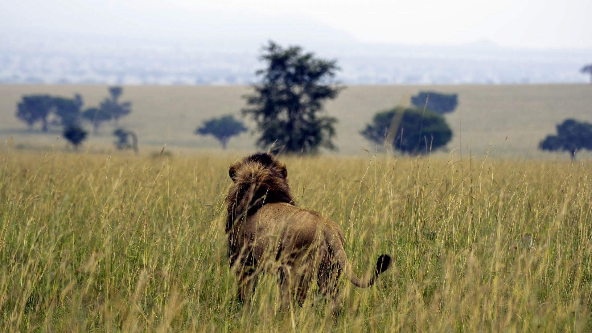 Kidepo Valley National Park