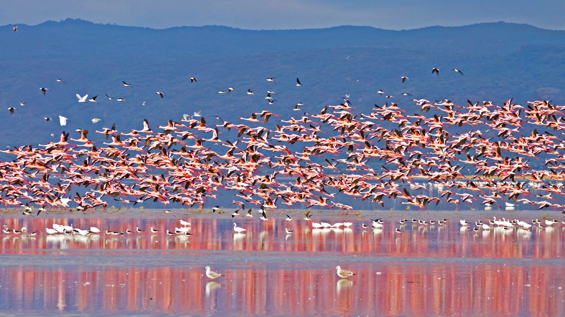 Lake Manyara National Park