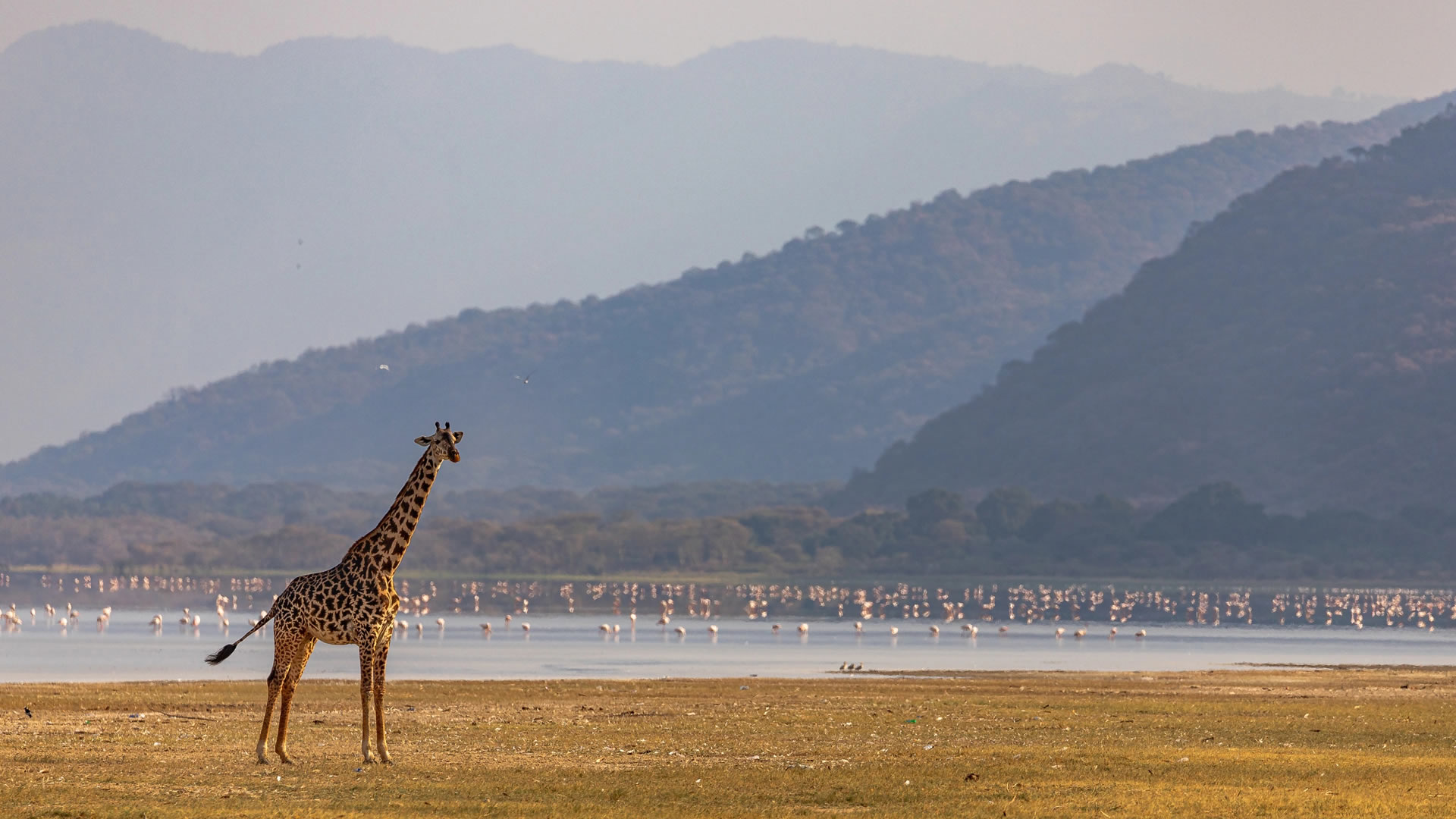 Lake Manyara National Park