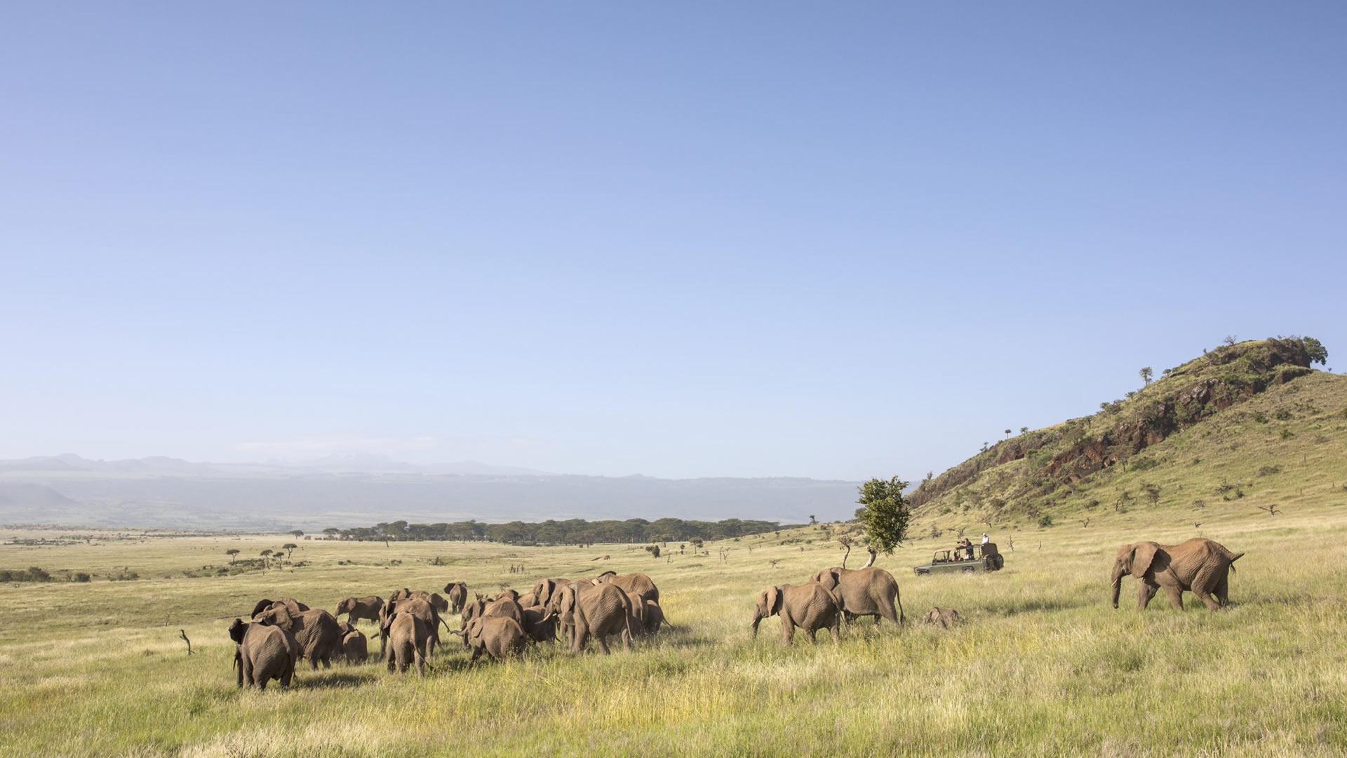Lewa Wildlife Conservancy