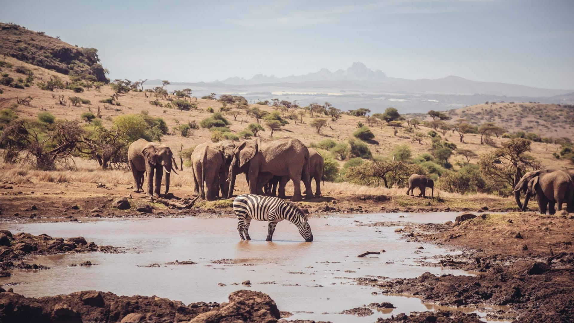 Lewa Wildlife Conservancy