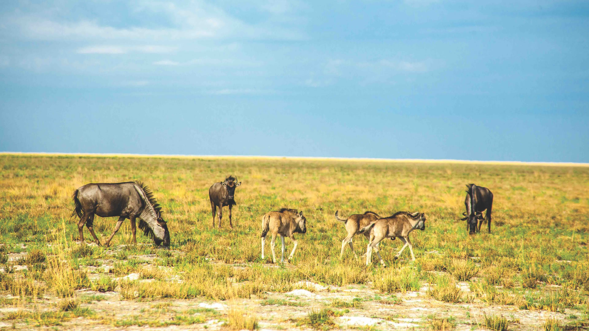 Liuwa Plain National Park