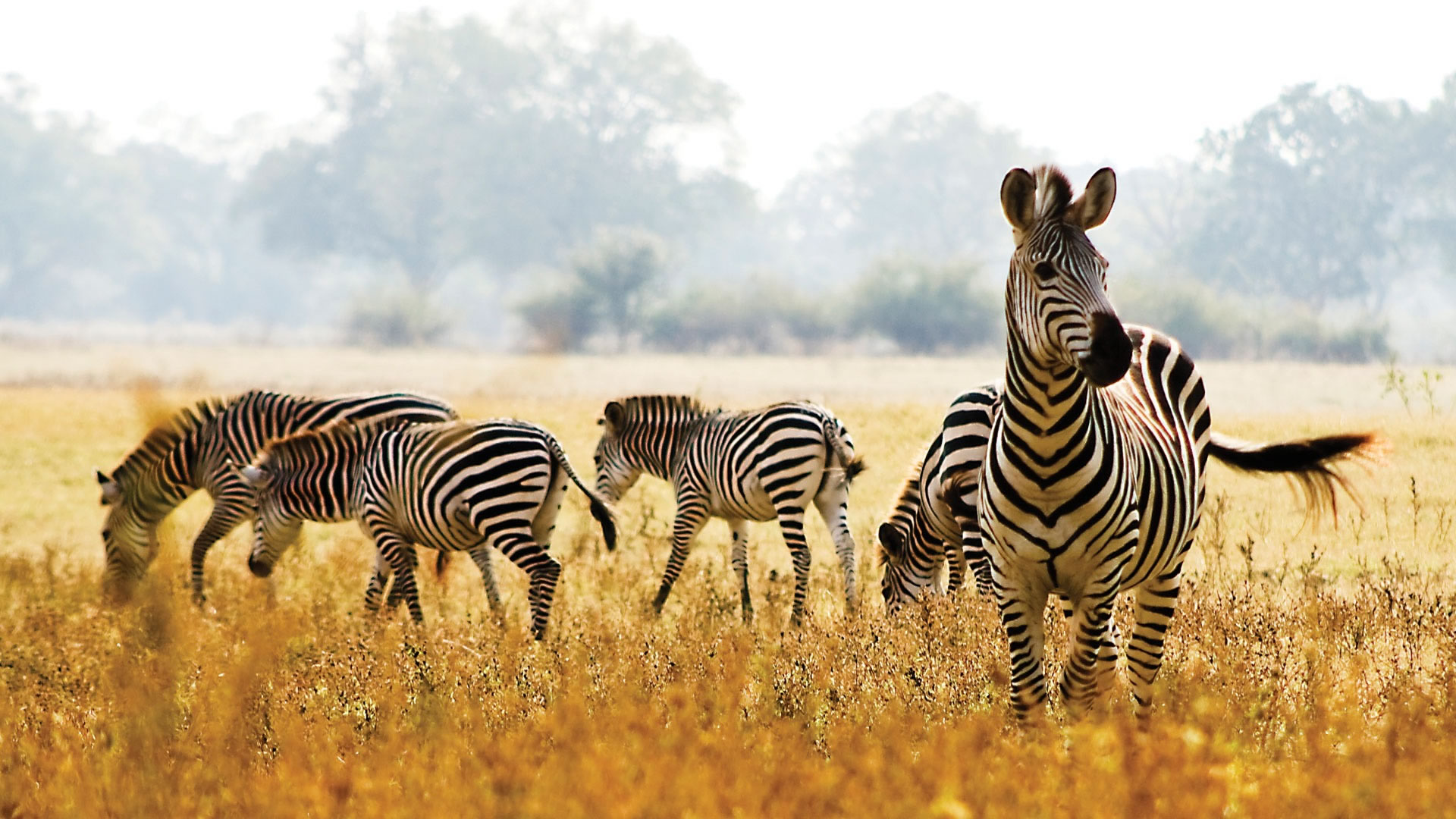 Liuwa Plain National Park