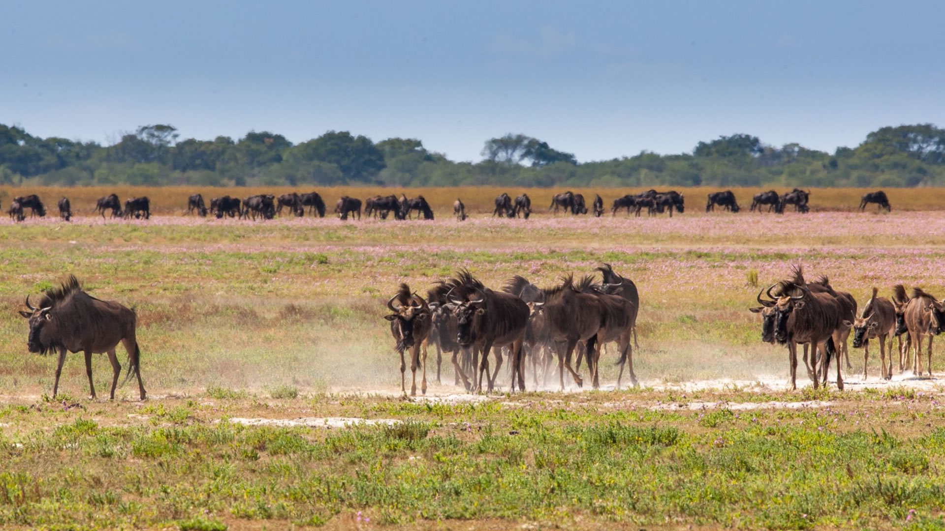 Liuwa Plain National Park