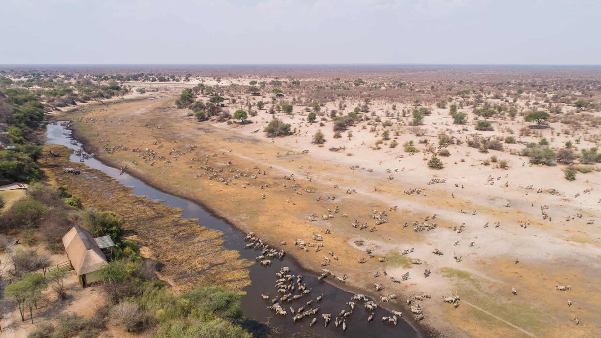 Makgadikgadi Pans