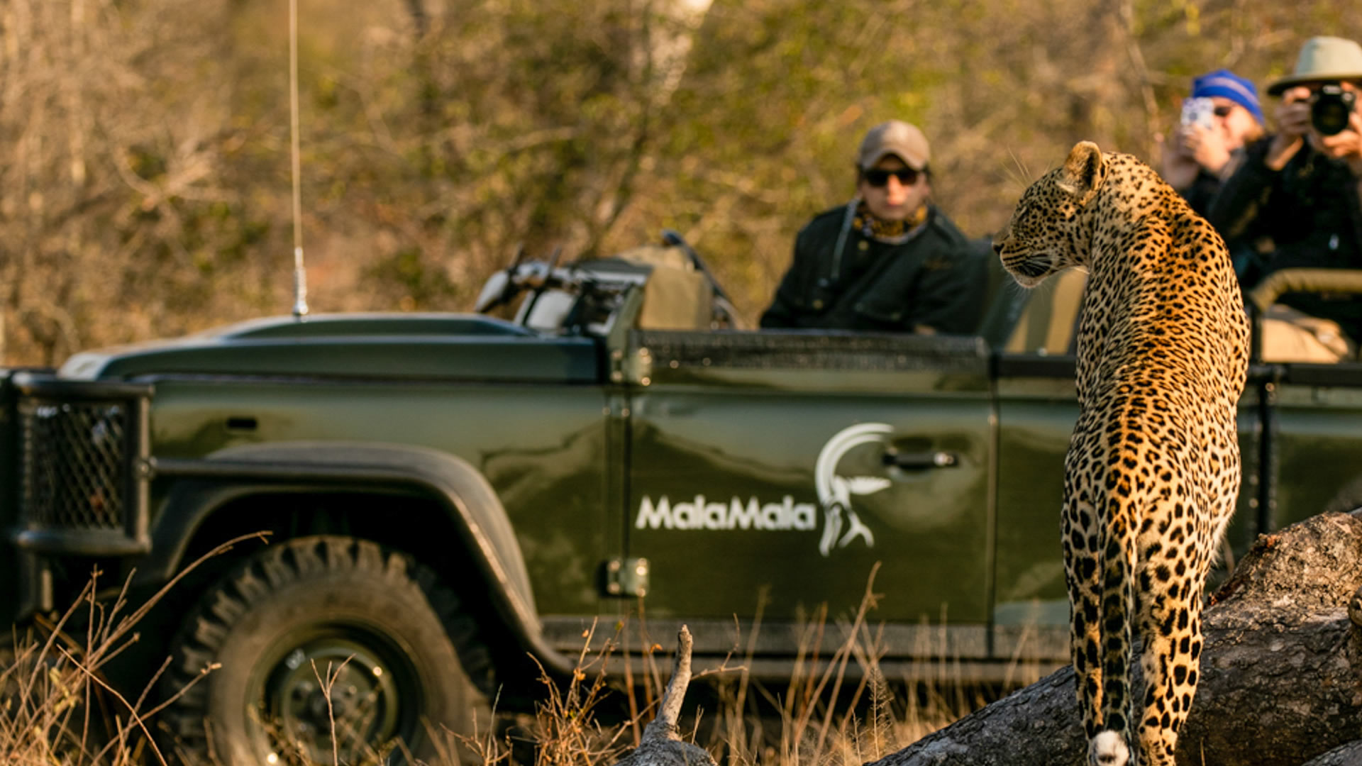 Malamala Private Game Reserve