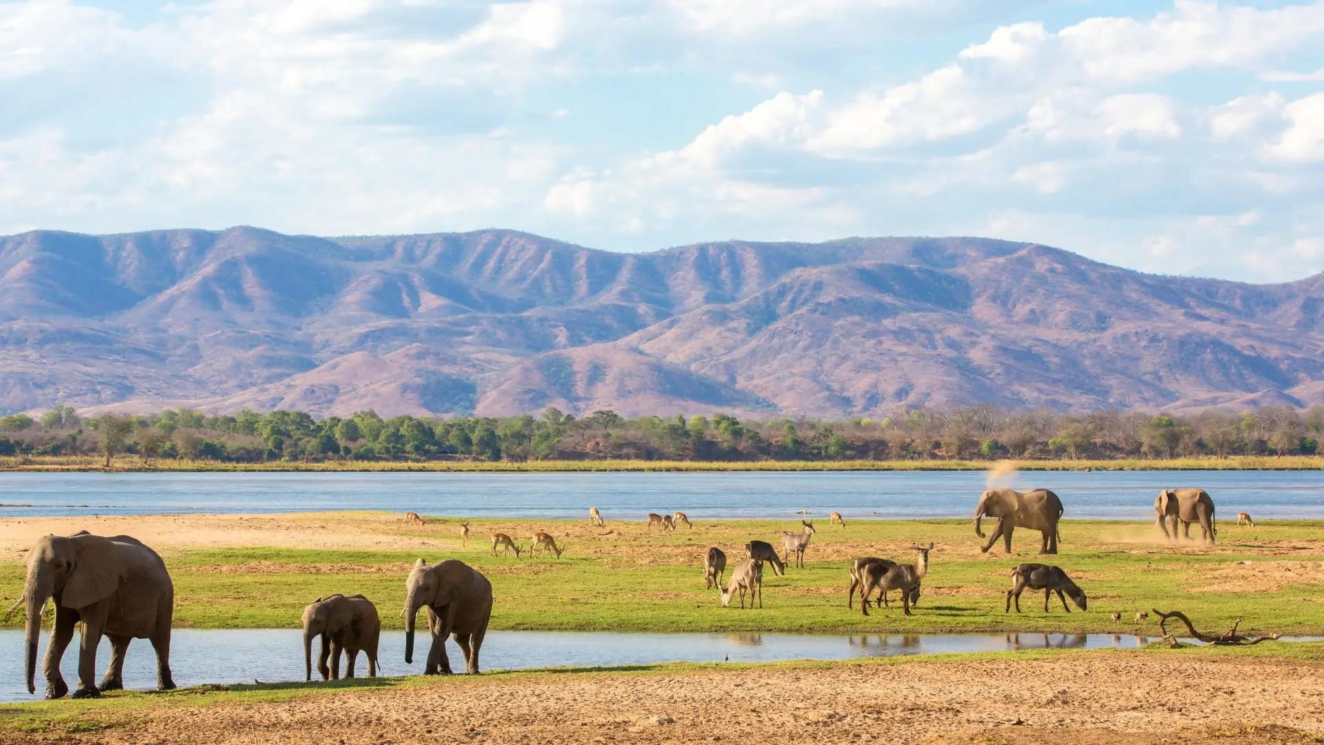 Mana Pools National Park