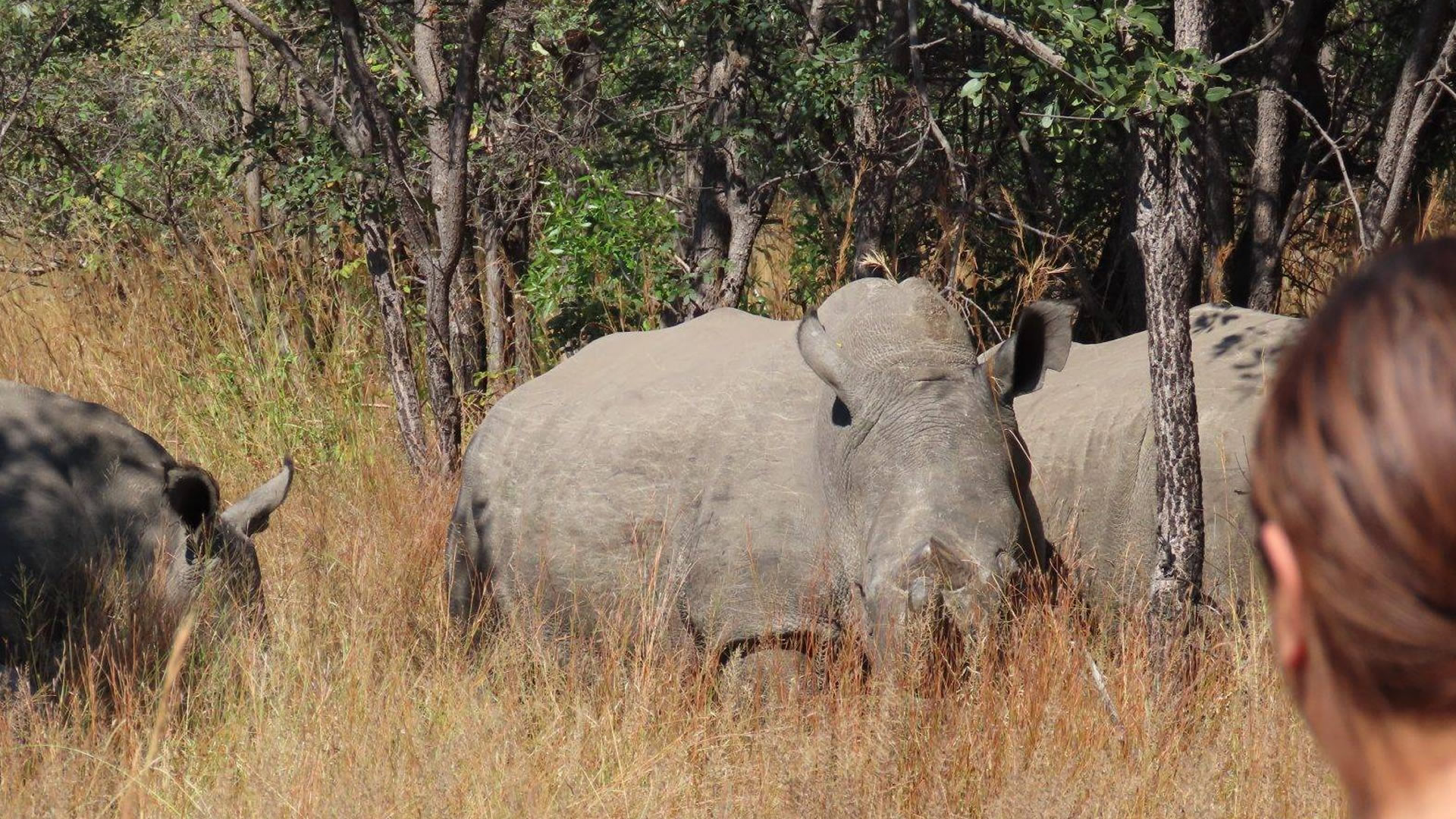 Matobo National Park