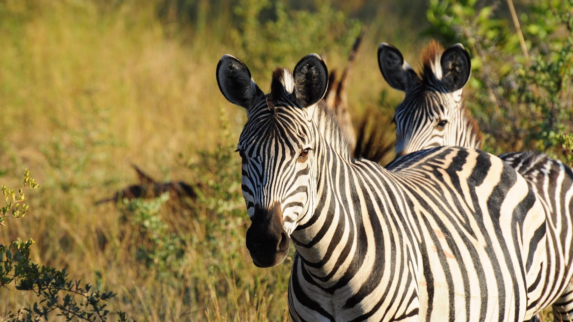 Mosi-Oa-Tunya National Park