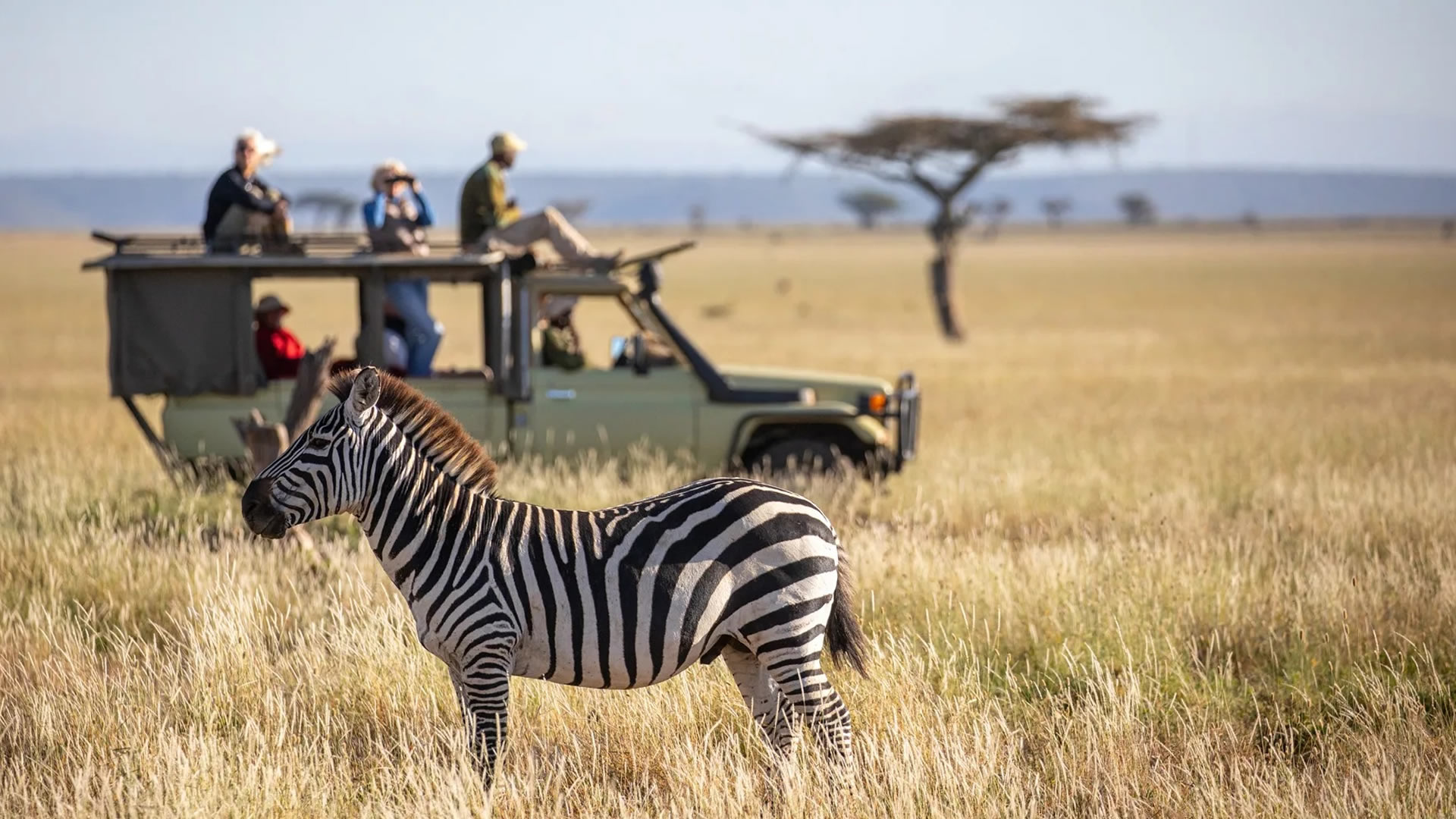 Mugie Conservancy