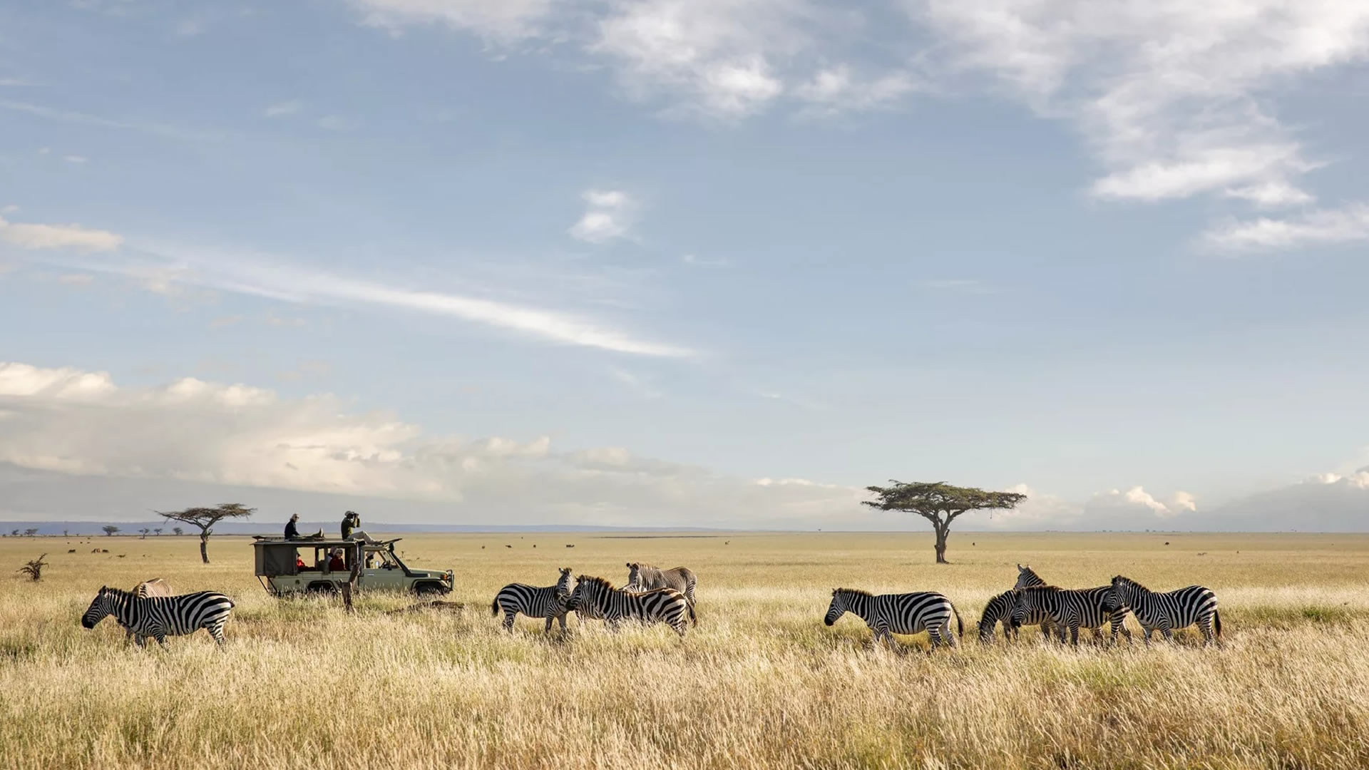 Mugie Conservancy