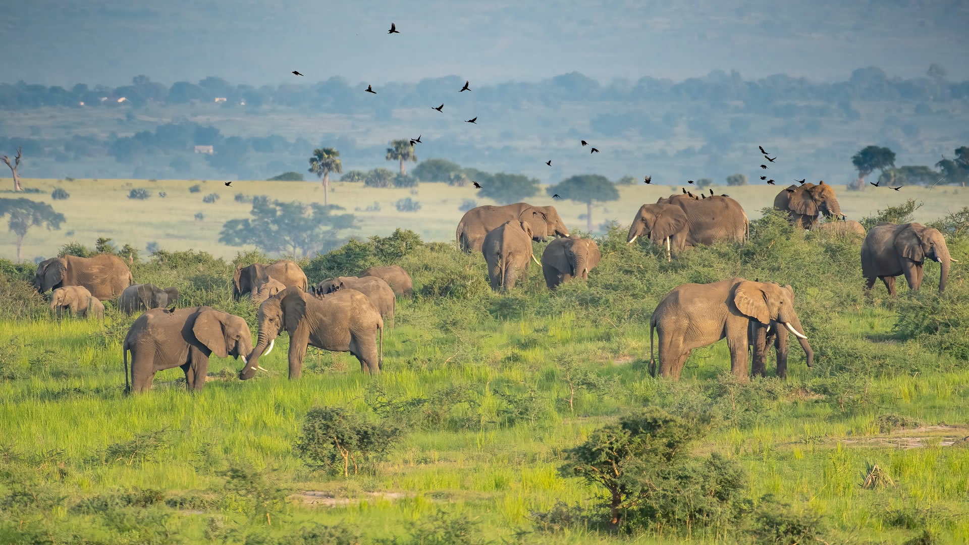 Murchison Falls National Park