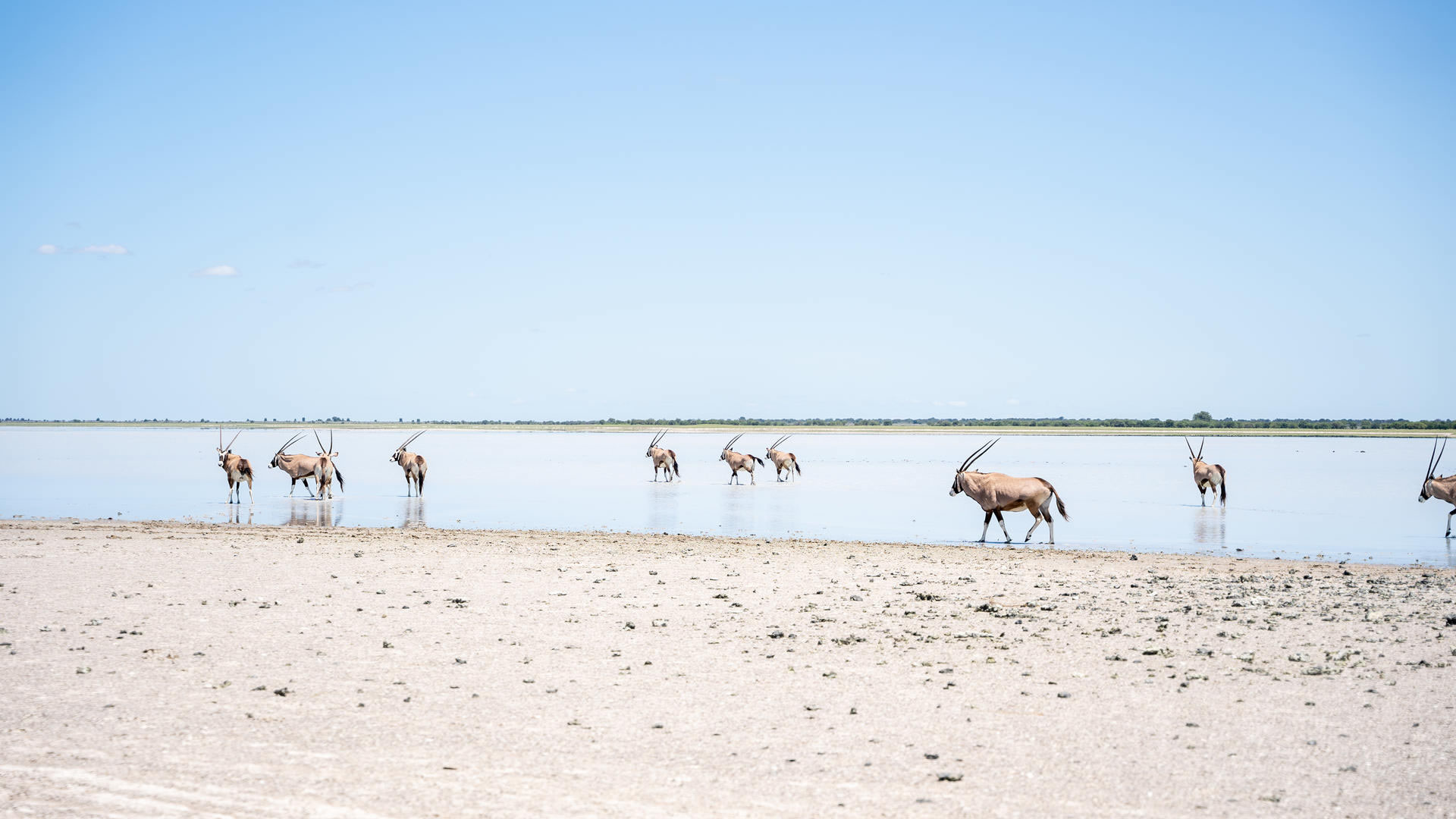 Nxai Pan National Park