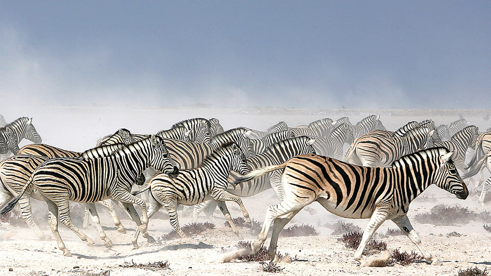 Nxai Pan National Park