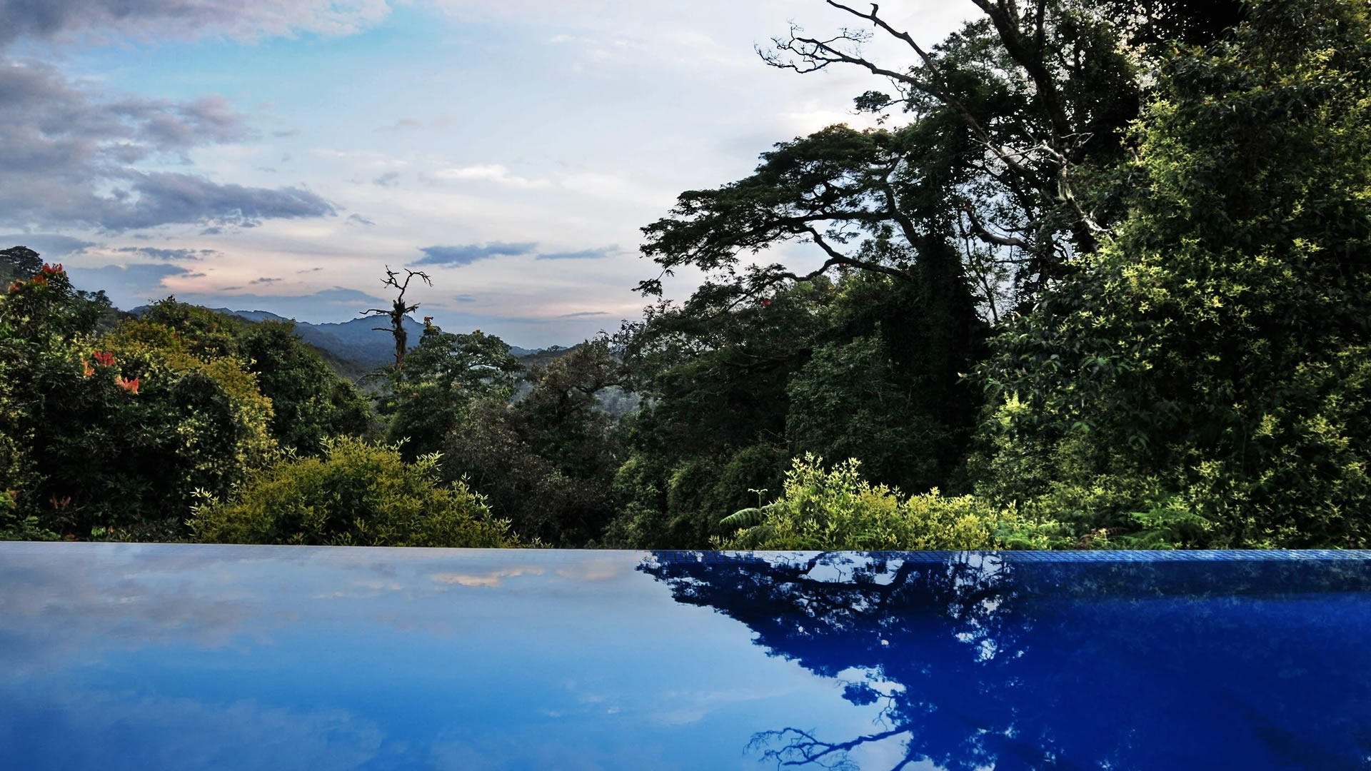 Nyungwe Forest National Park