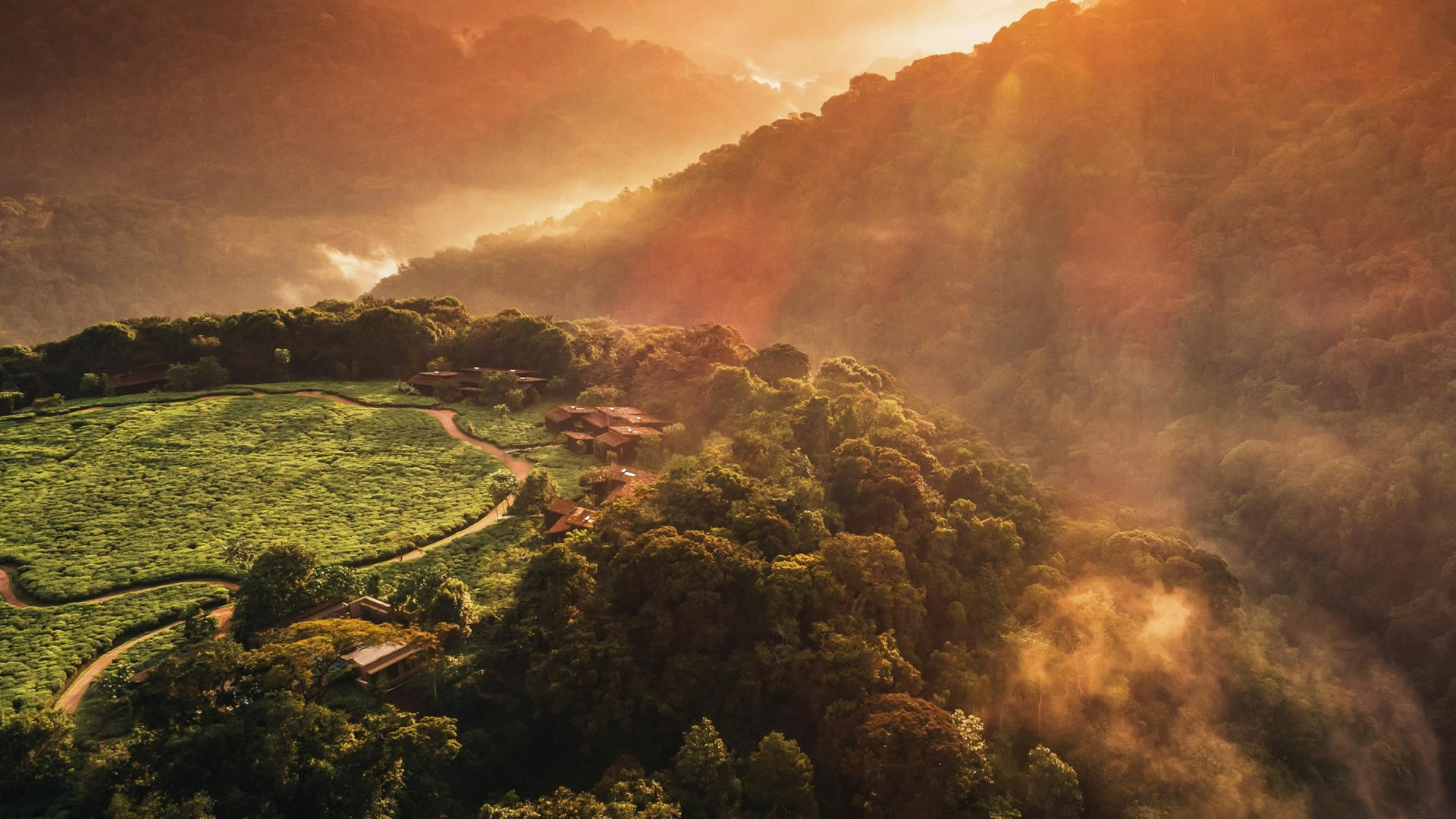Nyungwe Forest National Park