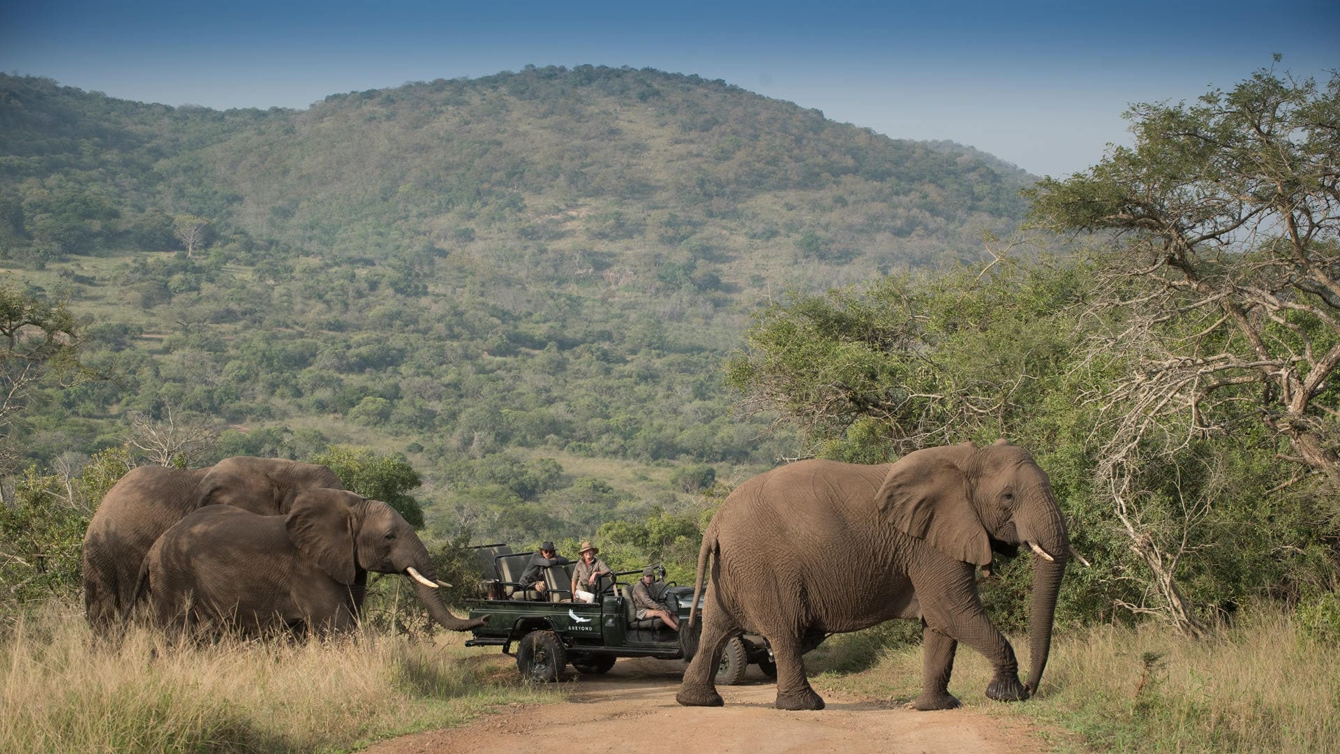 Phinda Private Game Reserve
