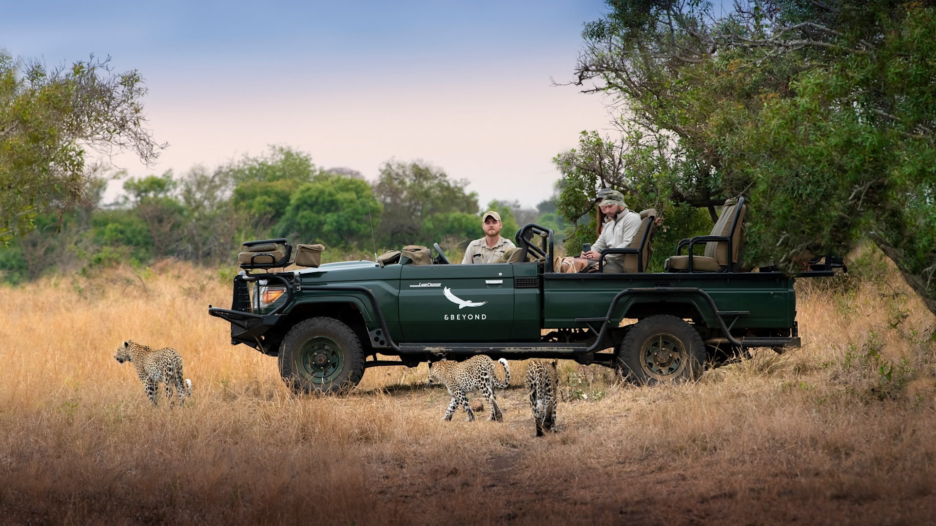 Phinda Private Game Reserve