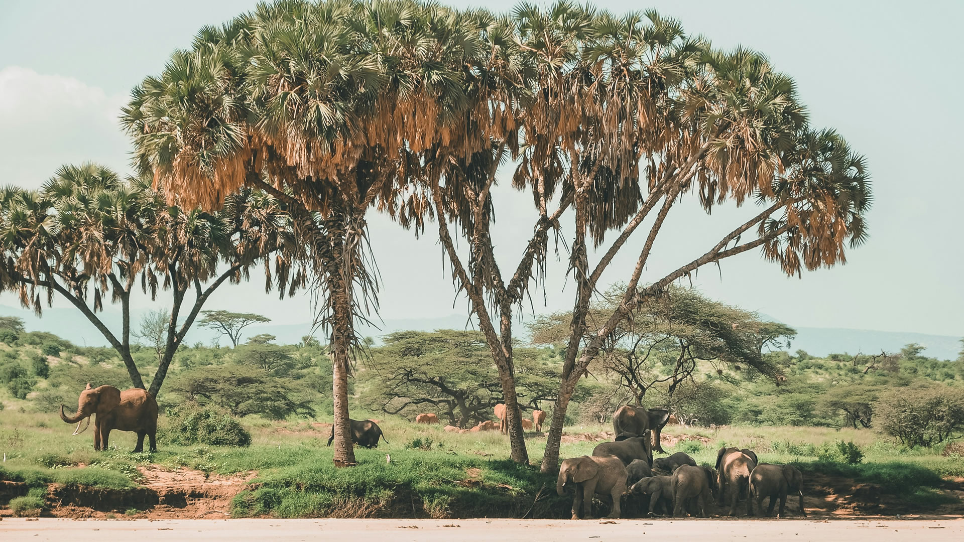 Samburu Game Reserve