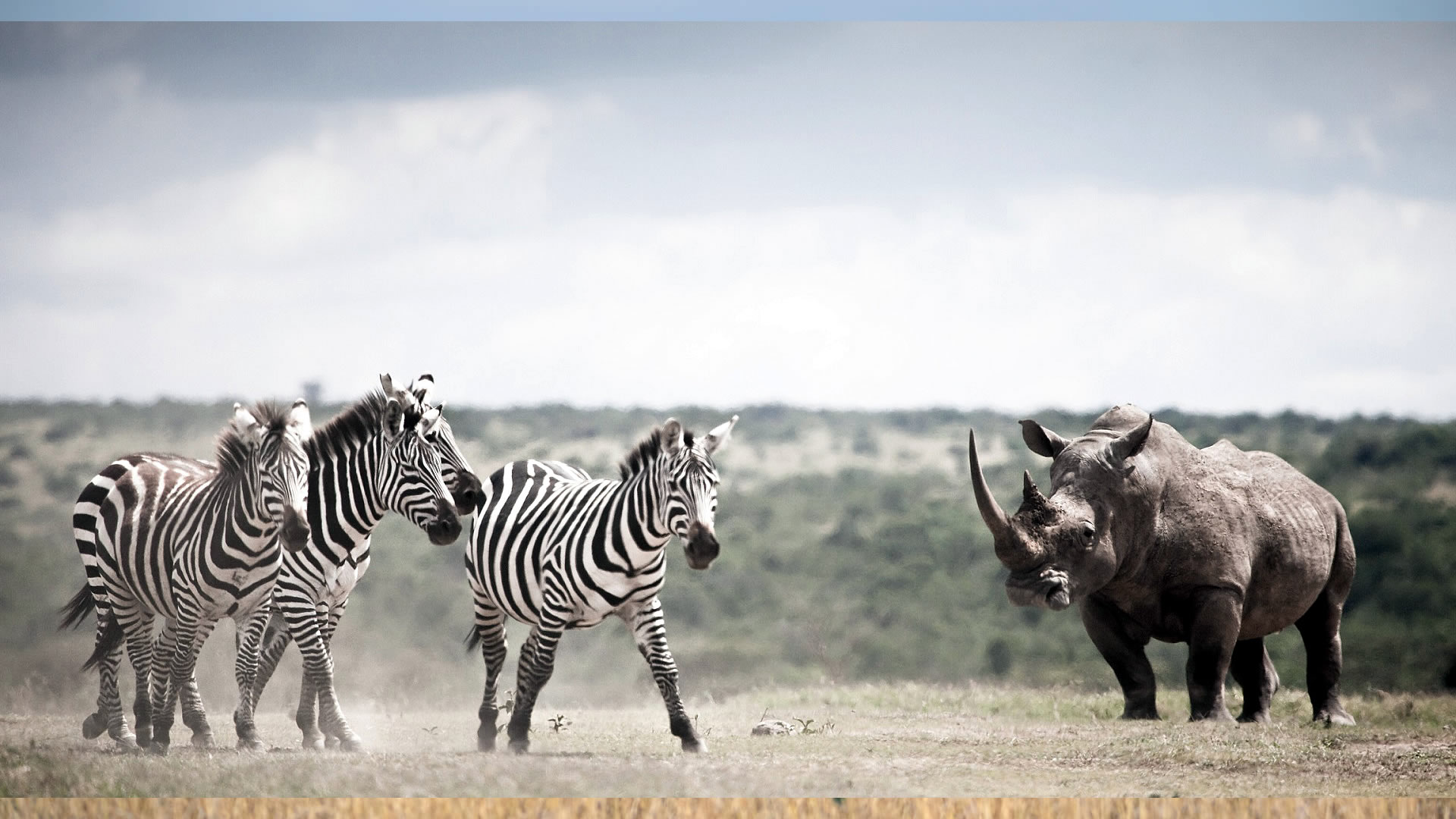 Solio Game Reserve