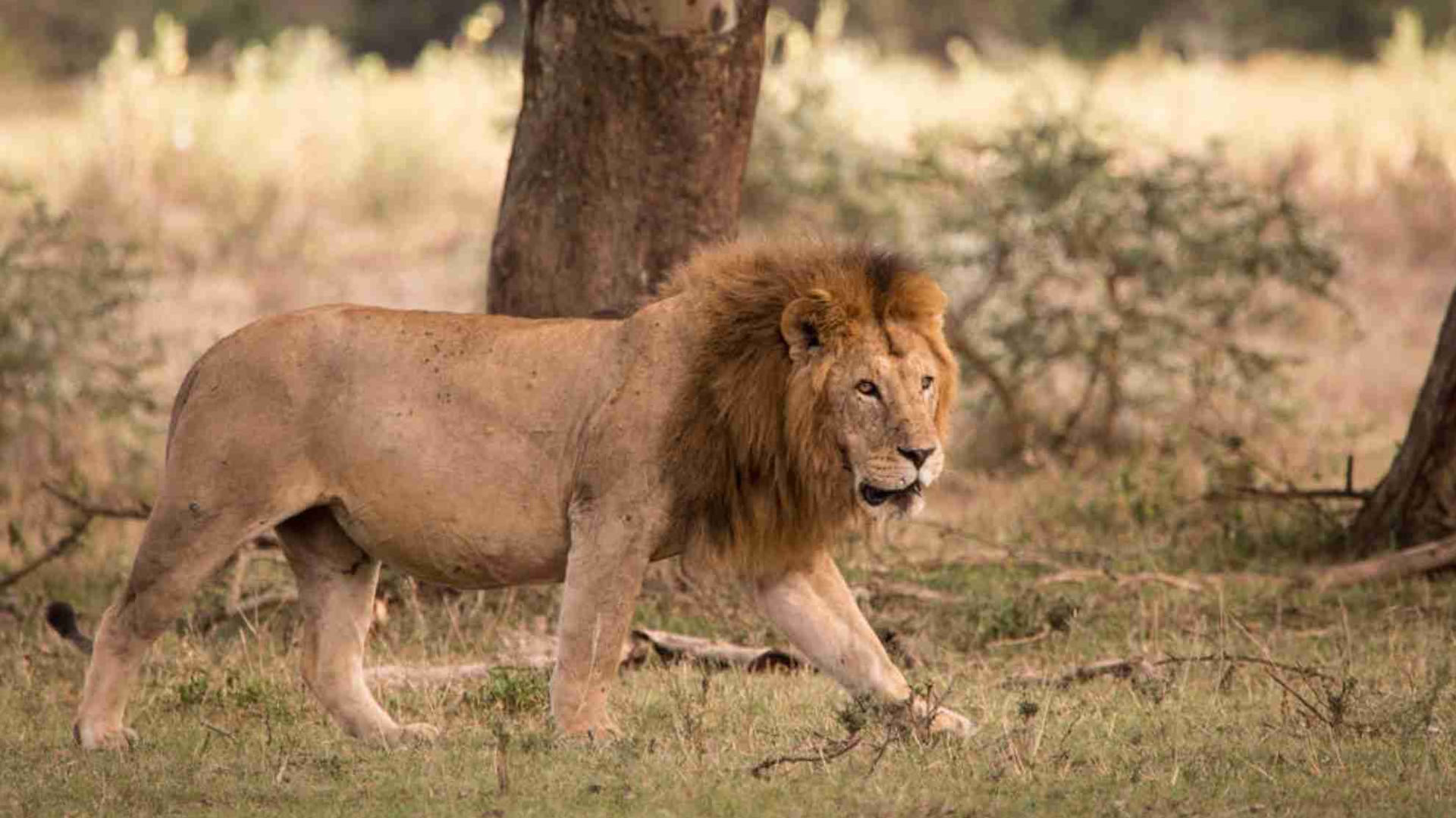 Solio Game Reserve