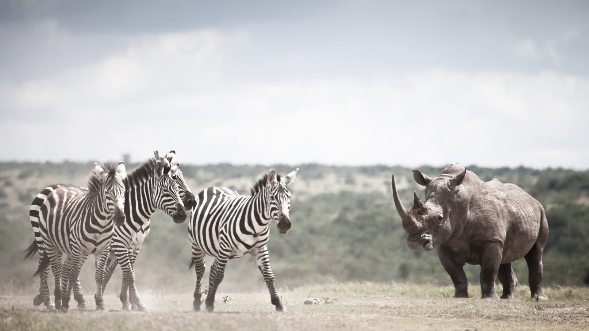 Solio Game Reserve