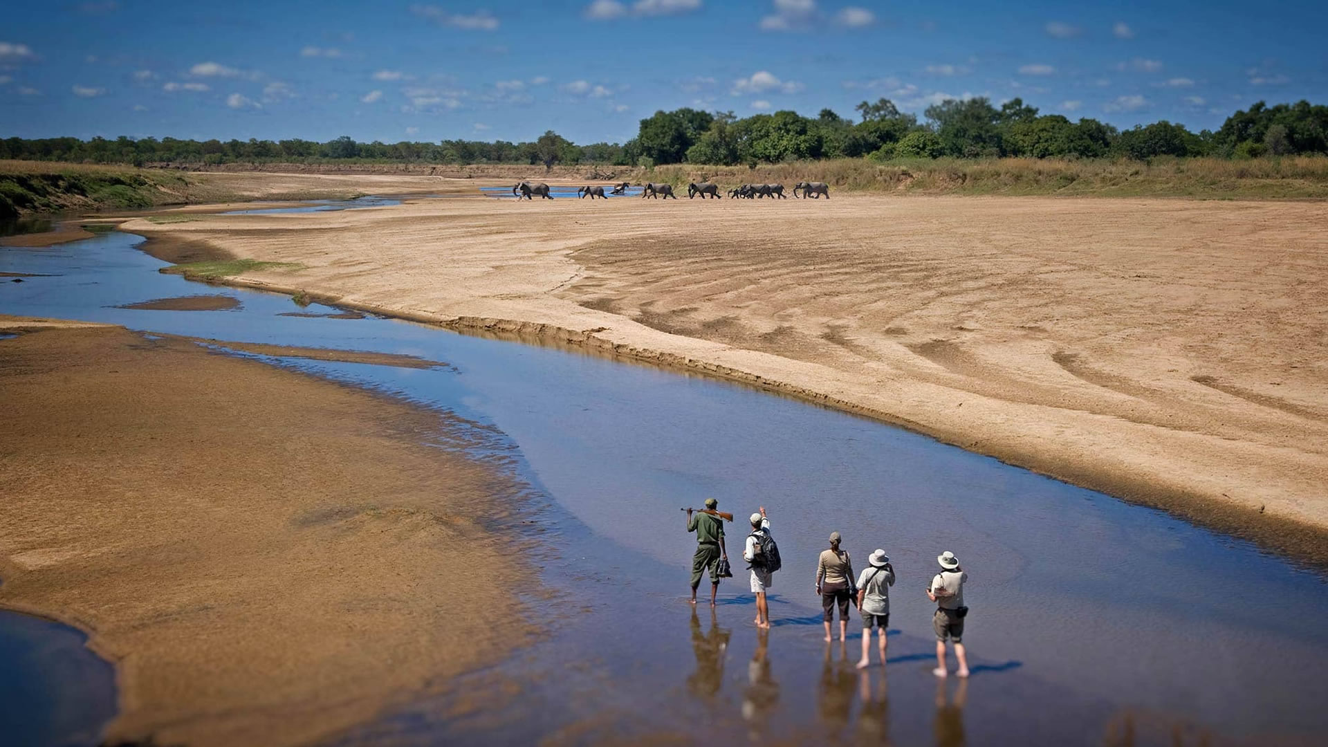South Luangwa National Park