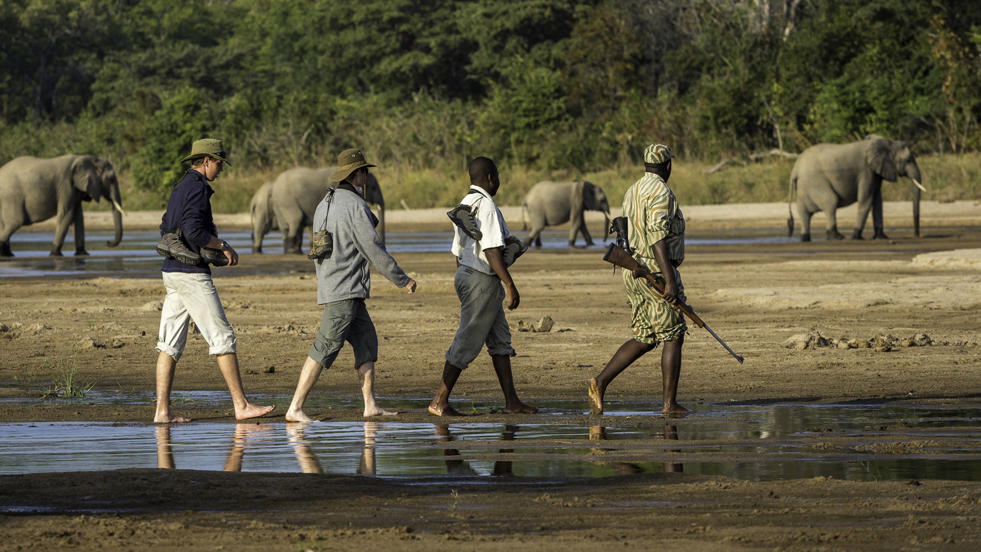 South Luangwa National Park
