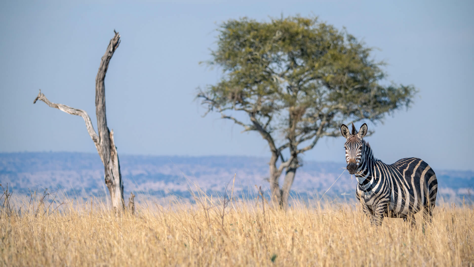 Tarangire National Park