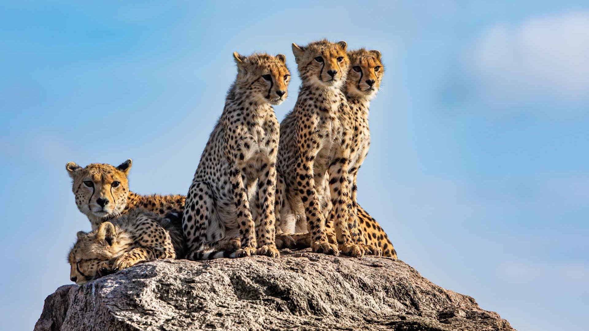 Tarangire National Park